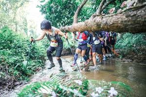 BIB: 
                            <button type="button" onclick="openModal(25468123)" class="btn btn-primary btn-sm float-right btn-popup" data-toggle="modal" data-target=".modal-high-quality">
                        <i class="fas fa-shopping-cart"></i> Add to Cart
                    </button>
                                            <button type="button" onclick="isThisMe(25468123, true)" class="btn btn-success btn-sm float-right btn-popup btn-isme hidden" data-toggle="tooltip" data-placement="bottom" title="นี่คือรูปของคุณใช่ไหม คลิกที่นี่เพื่อเอาเข้าอัลบั้ม">
                        <i class="fas fa-plus"></i> Add to album
                    </button>
                    <button type="button" onclick="isThisMe(25468123, false)" class="btn btn-warning btn-sm float-right btn-popup btn-isnotme hidden">
                        <i class="fas fa-ban"></i> Remove from album
                    </button>